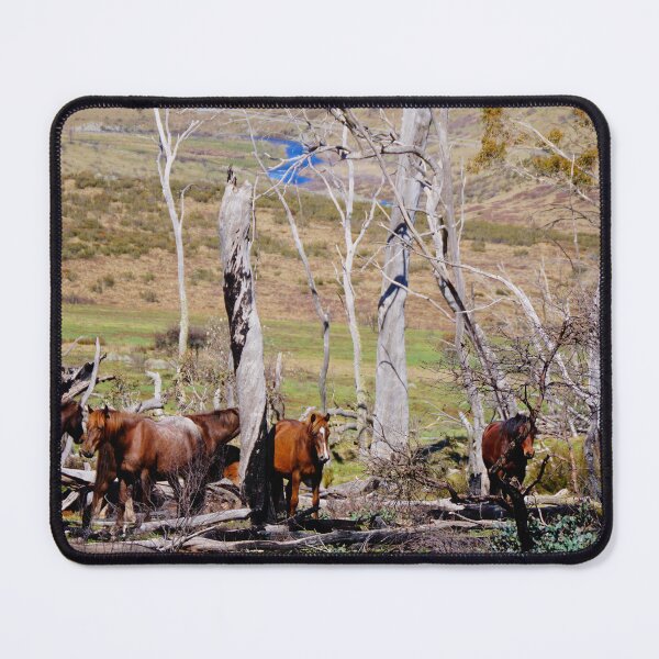Item preview, The Brumbies designed and sold by D-GaP.
