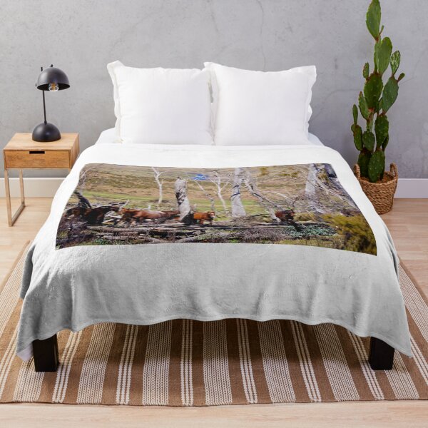 Item preview, The Brumbies  designed and sold by D-GaP.