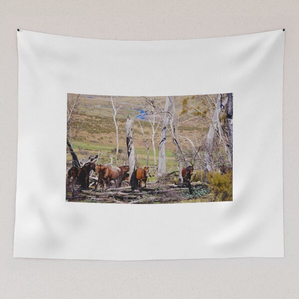 Item preview, The Brumbies  designed and sold by D-GaP.