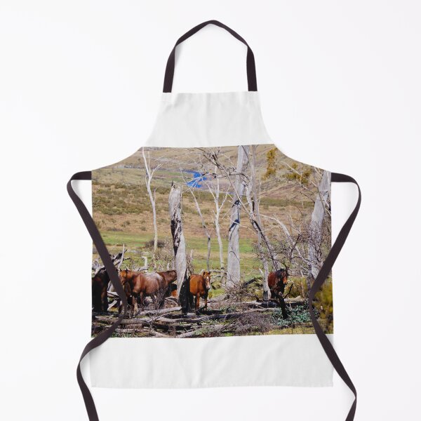 Item preview, The Brumbies designed and sold by D-GaP.
