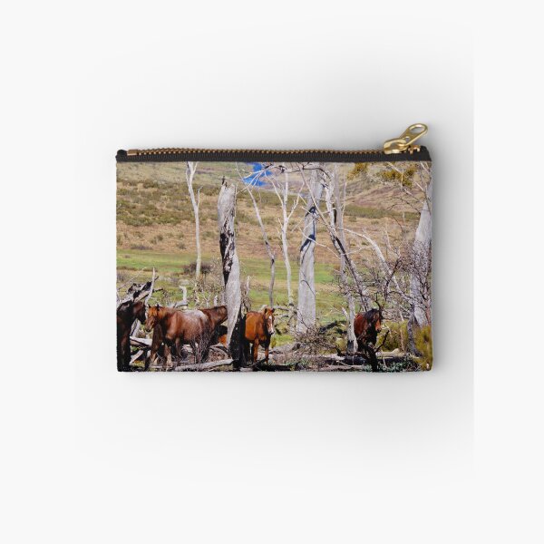 Item preview, The Brumbies  designed and sold by D-GaP.