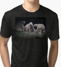 The Three Bears Tri-blend T-Shirt