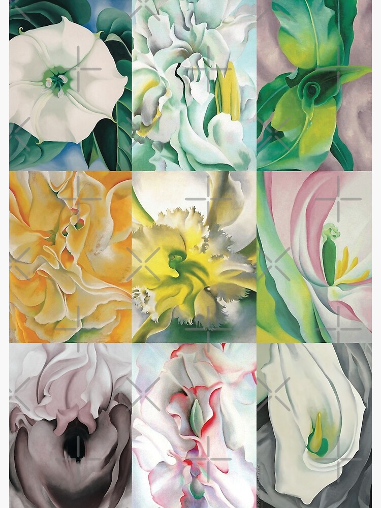 O'Keeffe Flowers