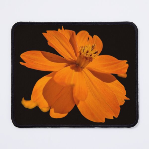 Item preview, Sunlit Marigold designed and sold by TinaDonovanArt.