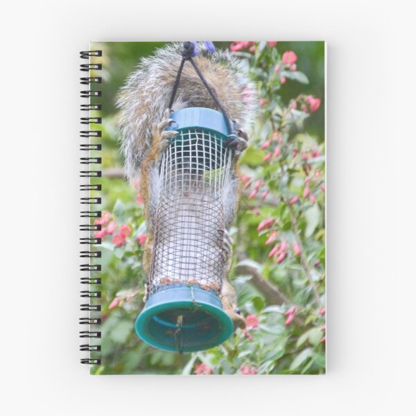 Item preview, Bird Feeder With Claws And Tail designed and sold by lynn carter.