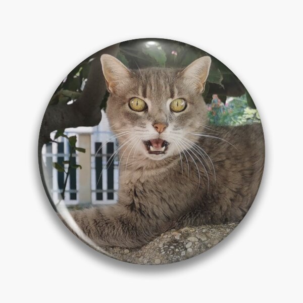 Item preview, Surprised cat designed and sold by Mmark94.