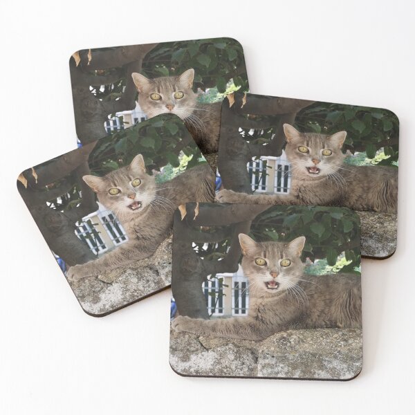 Item preview, Surprised cat designed and sold by Mmark94.