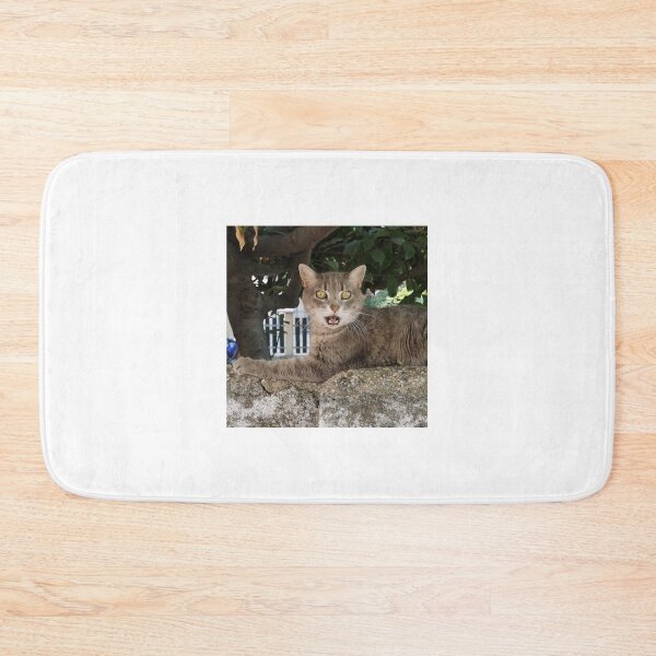 Item preview, Surprised cat designed and sold by Mmark94.