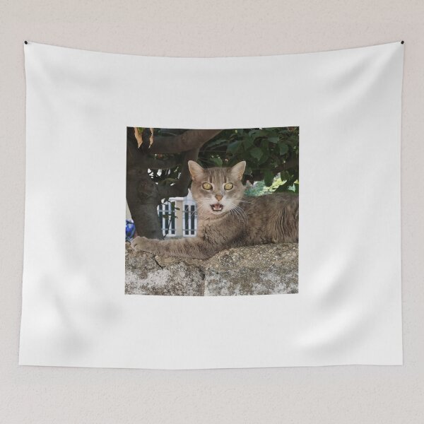 Item preview, Surprised cat designed and sold by Mmark94.