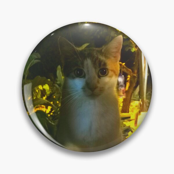 Item preview, Cat in the shadow designed and sold by Mmark94.