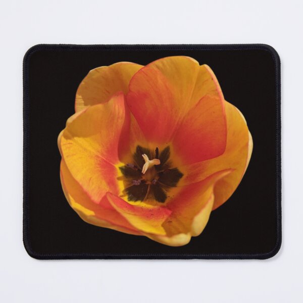 Item preview, Tulip in Orange designed and sold by TinaDonovanArt.