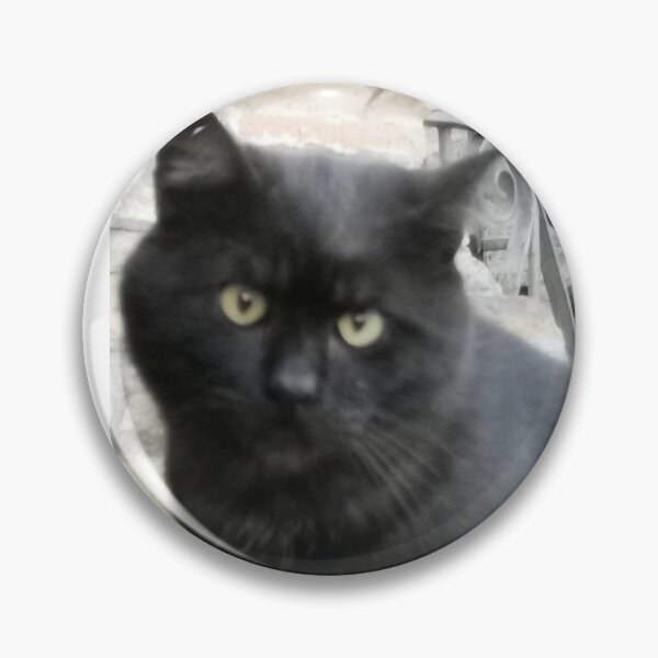 Item preview, Staring cat #2 designed and sold by Mmark94.