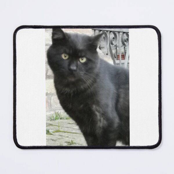 Item preview, Staring cat #2 designed and sold by Mmark94.