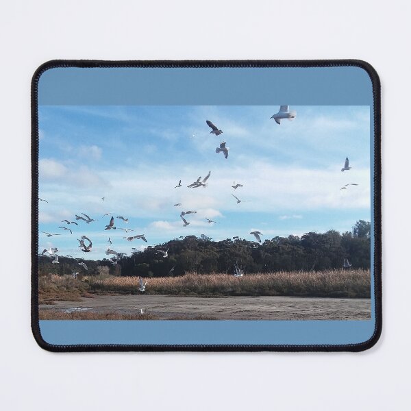 Item preview, STEVE YELLOWBEAR LAGOON SEA GULLS C2022 Steve Yellowbear Fine Art designed and sold by SteveYellowbear.