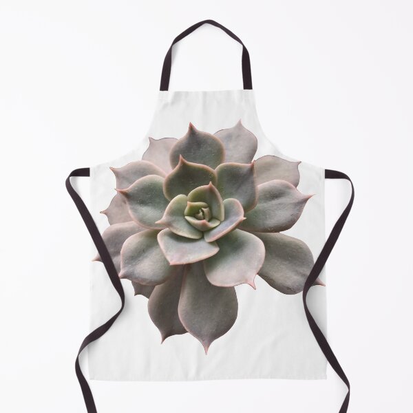 Item preview, Echeveria succulent designed and sold by Phoebew03.