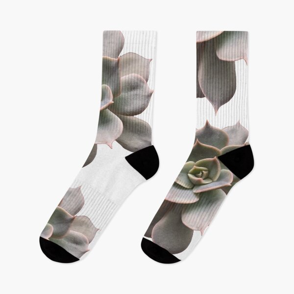Item preview, Echeveria succulent designed and sold by Phoebew03.