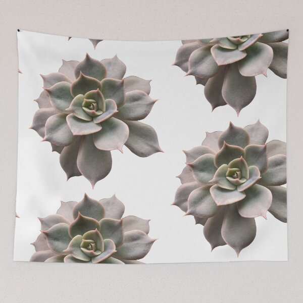 Item preview, Echeveria succulent designed and sold by Phoebew03.