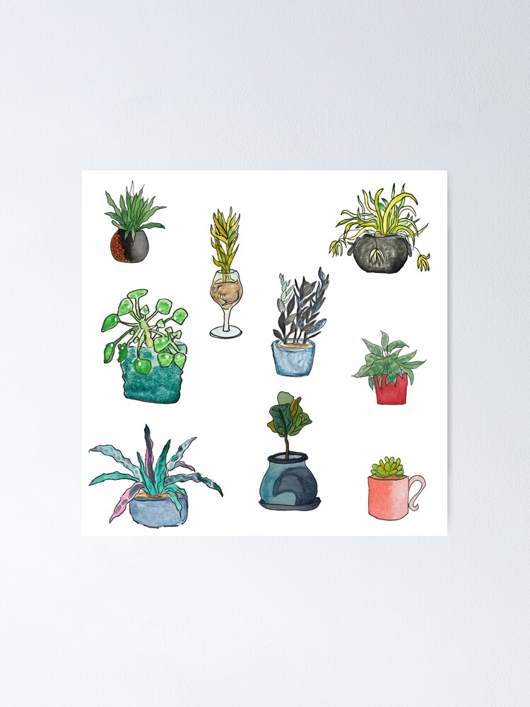 House Plants Poster for Sale by LunaNoodleArt