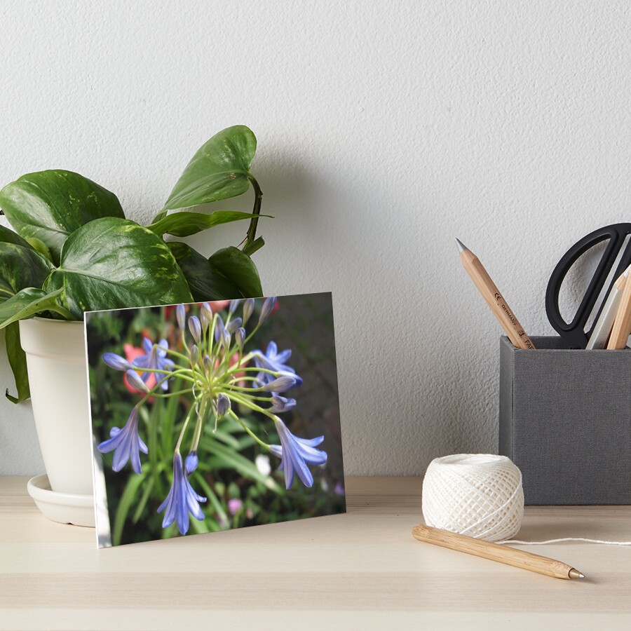 Summer allium Art Board Print