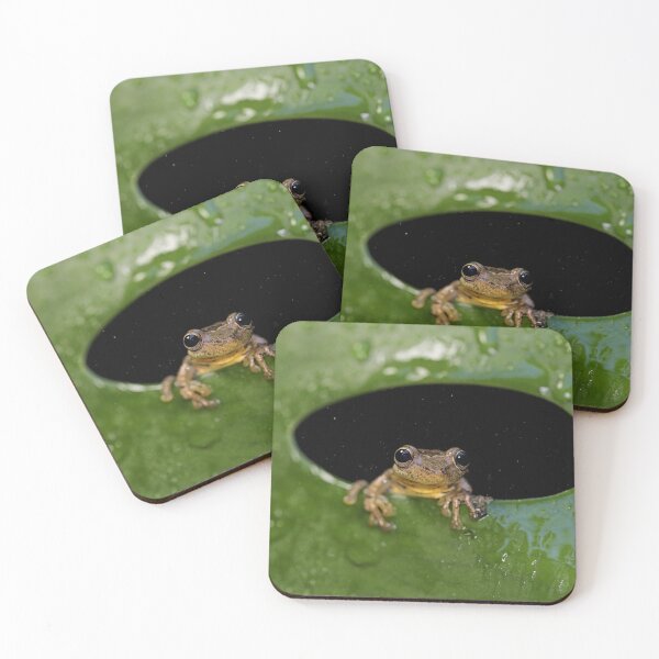 Item preview, Tree Frog designed and sold by mlorenz.