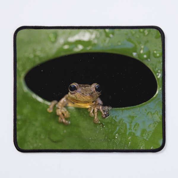 Item preview, Tree Frog designed and sold by mlorenz.