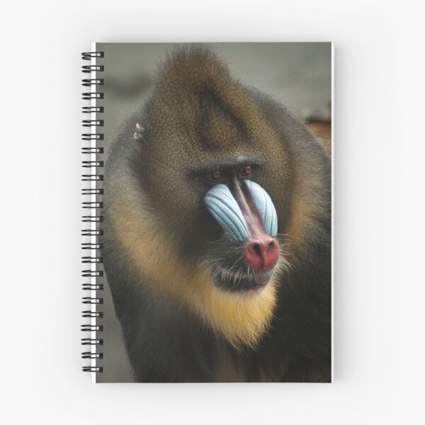 Item preview, Talking to me, are you? - Praat je tegen mij? designed and sold by steppeland.