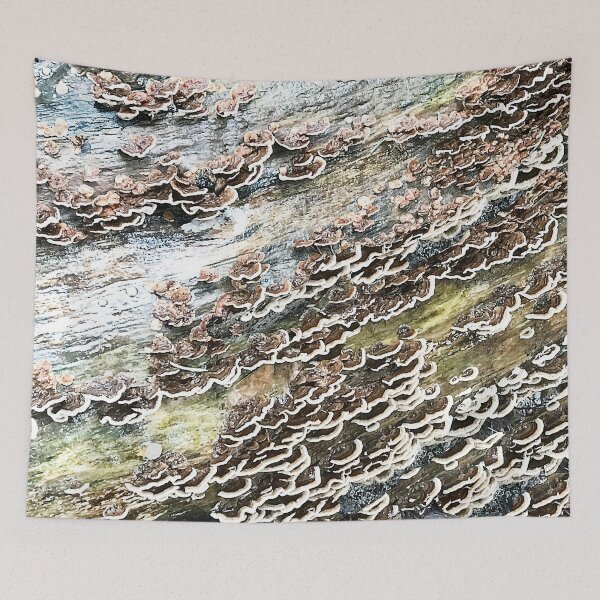Item preview, Nature Beauty designed and sold by Yolanda Designs.