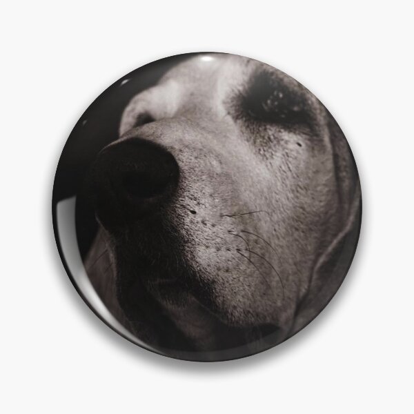 Item preview, Dramatic Basset designed and sold by DynamiteNoodles.