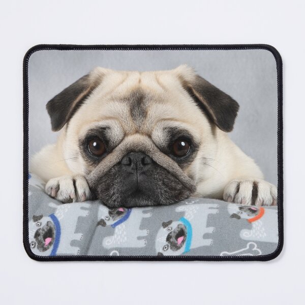 Item preview, Pug Life designed and sold by mlorenz.
