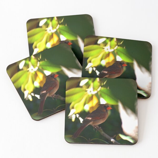 Item preview, Female Cardinal in a tree designed and sold by DynamiteNoodles.