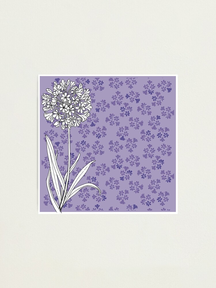 Lámina fotográfica «Patrón floral dibujado a mano de agapanto lila» de  ShazlinJalil | Redbubble