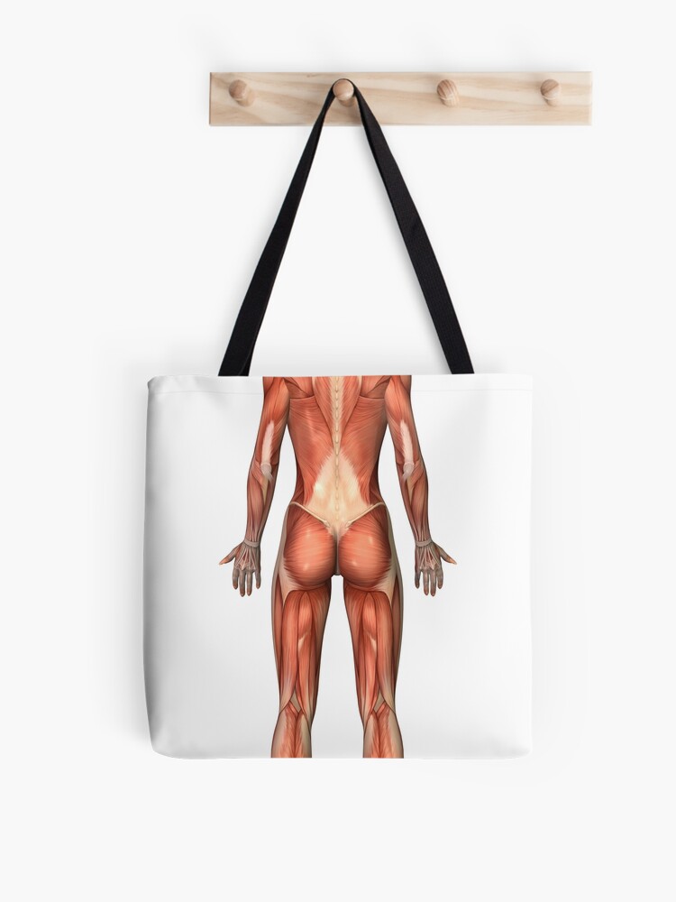 Anatomy of human pelvic bone. Tote Bag for Sale by StocktrekImages