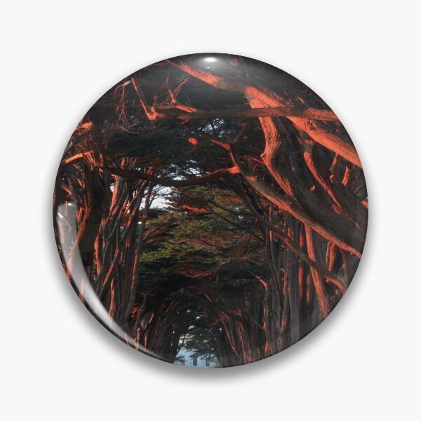 Item preview, Sunset over Cypress Tree Tunnel at Point Reyes designed and sold by yhelfman.