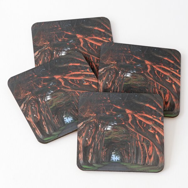Item preview, Sunset over Cypress Tree Tunnel at Point Reyes designed and sold by yhelfman.