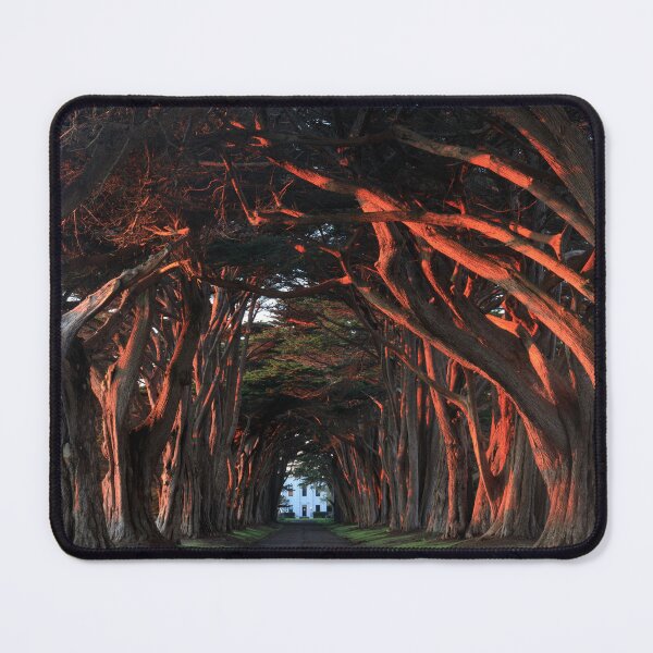 Item preview, Sunset over Cypress Tree Tunnel at Point Reyes designed and sold by yhelfman.