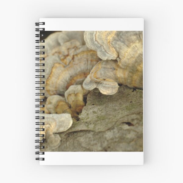 Item preview, Pretty Fungi designed and sold by Quigi.
