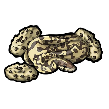 Artwork thumbnail, Ball Python Cookie Design by AMackInCheese
