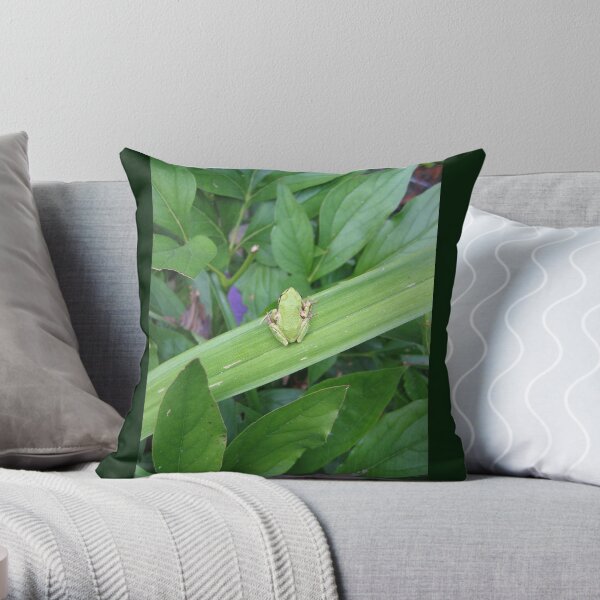 Green Friend Throw Pillow