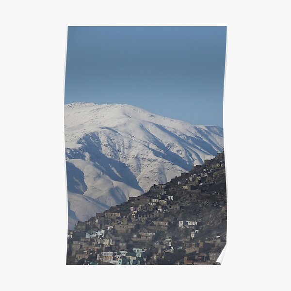 Kabul in white and brown Poster