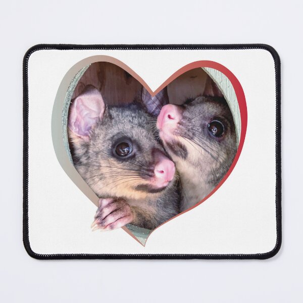 Item preview, Brushtail possum love designed and sold by AchiniK.