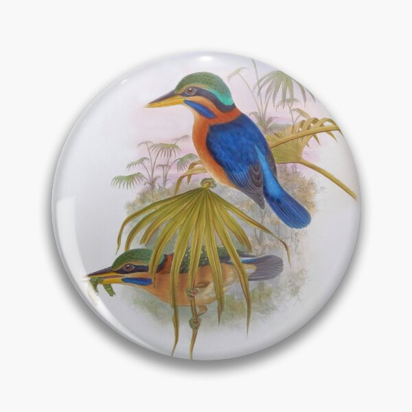 Artikelvorschau, Rufous-collared Kingfisher (Actenoides concretus) von John Gould entworfen und verkauft von TheCurators.