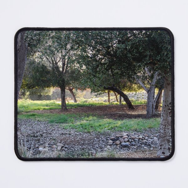 Item preview, Trees in the Park designed and sold by heatherfriedman.