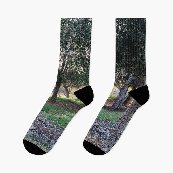 Item preview, Trees in the Park designed and sold by heatherfriedman.