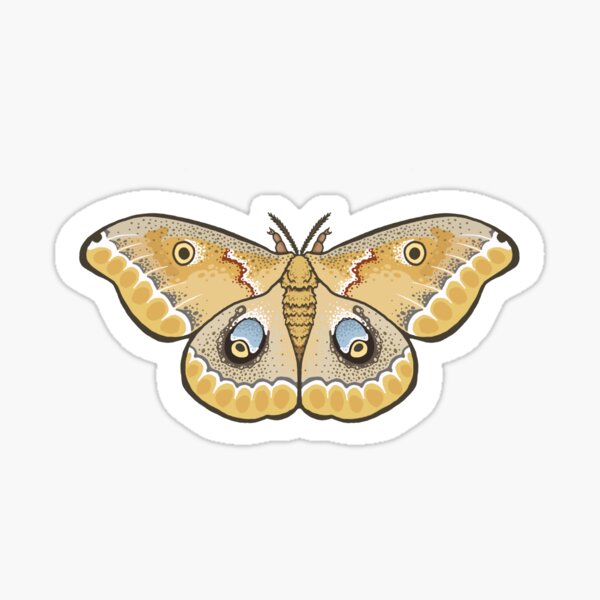 Sticker: IO Moth