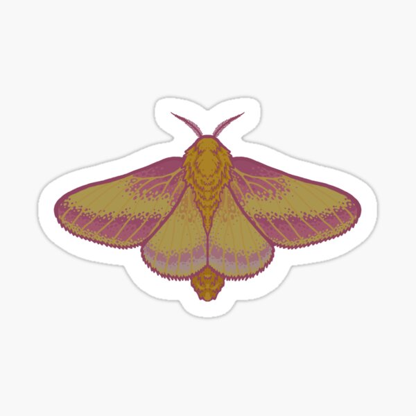 Whitney Rosy Maple Moth – Crafty Mama's Love