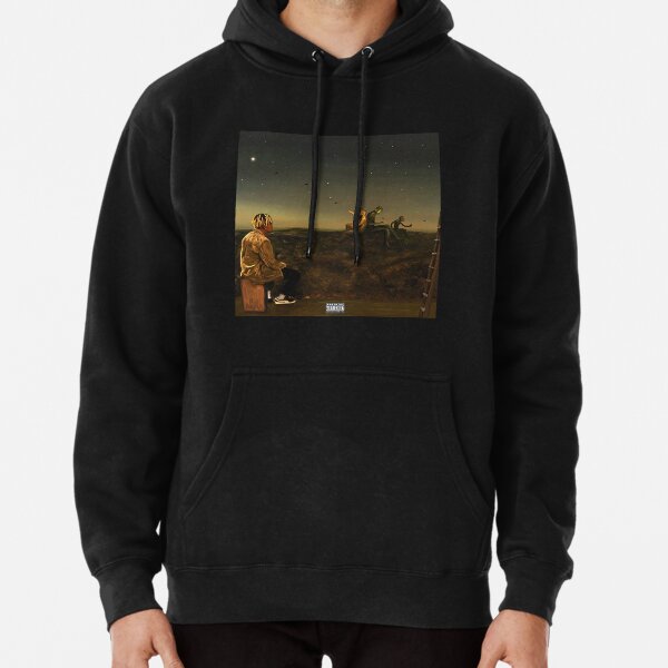 Birds eye view on sale hoodie