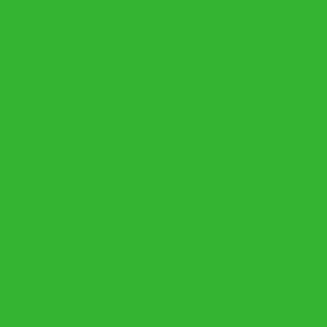 Vorschaubild zum Design Wageningen Green Plain color  von SolidColor