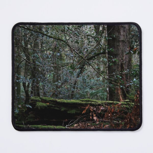 Item preview, Temperate Forest designed and sold by Timothy John Keegan.
