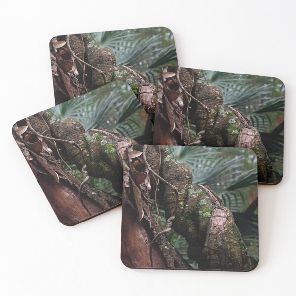 Item preview, Strangler Fig designed and sold by Timothy John Keegan.