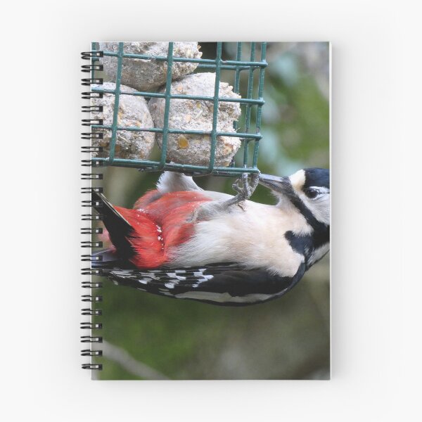 Item preview, woodpecker designed and sold by KathleenDawson.